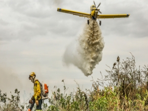 Combate a inc&ecirc;ndios no Cerrado e Pantanal poder&atilde;o ser financiadas pelo Fundo Amaz&ocirc;nia